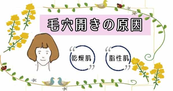 毛穴開き原因を乾燥肌・オイリー肌別に解説！【頬　鼻のスキンケア方法あり♪】